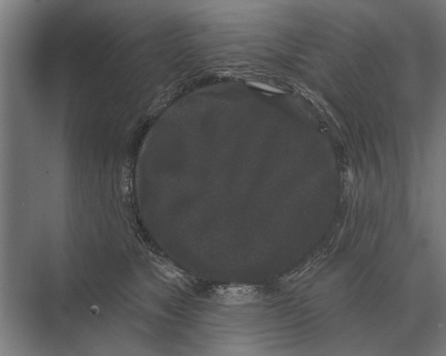 X0000074010517200609181837