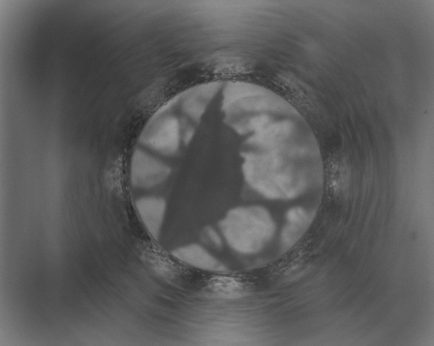 X0000074010519200609181837