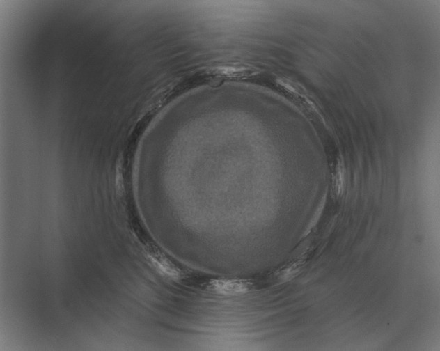 X0000074010520200609181837