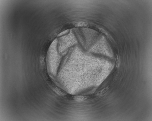 X0000074010521200609181837