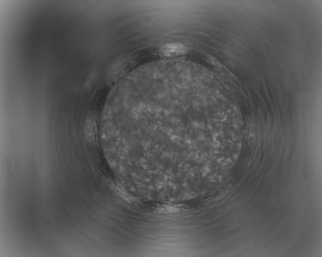 X0000074010523200609181837