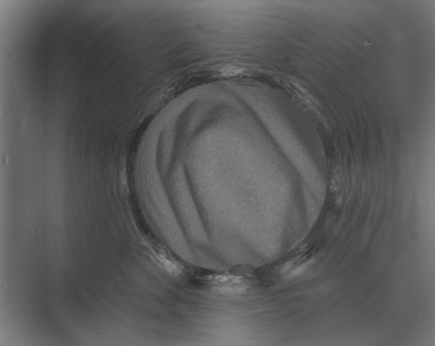 X0000074010524200609181837