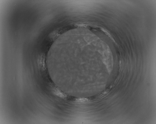 X0000074010525200609181837