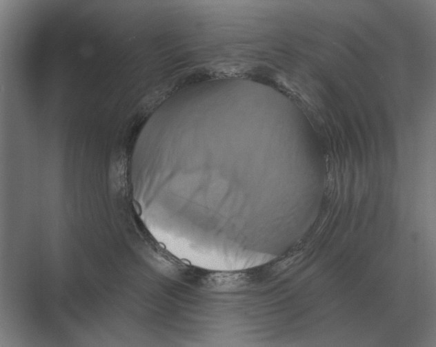 X0000074010526200609181837