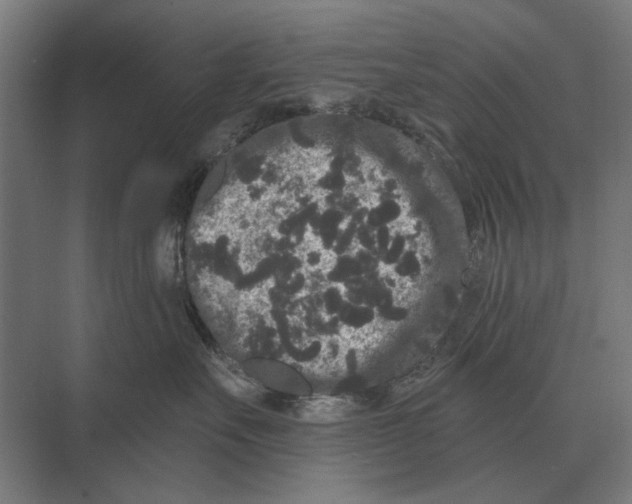 X0000074010527200609181837