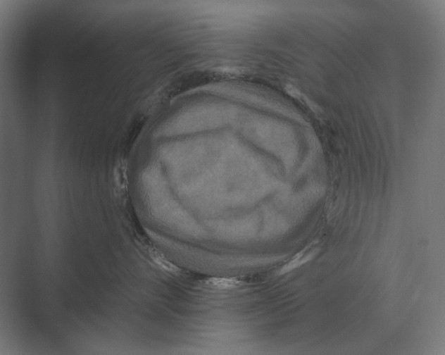 X0000074010528200609181837