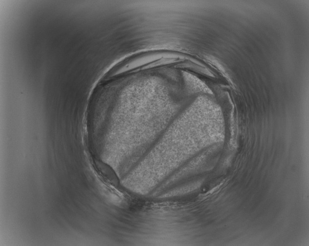 X0000074010532200609181836