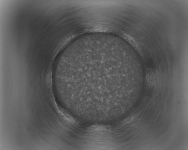 X0000074010534200609181837