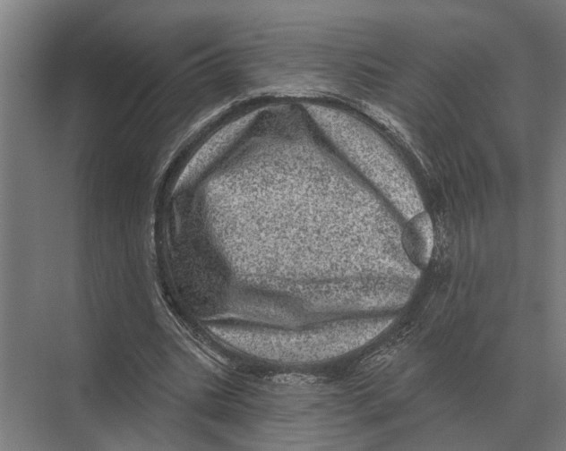 X0000074010535200609181837