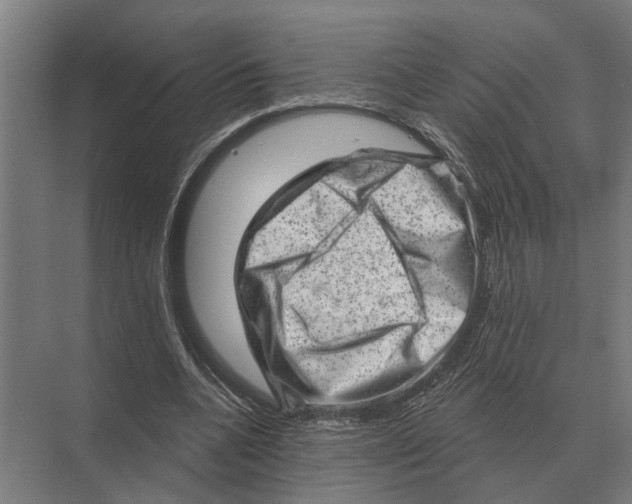 X0000074010536200609181837