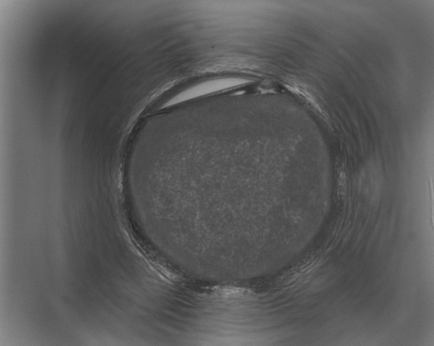 X0000074010539200609181837