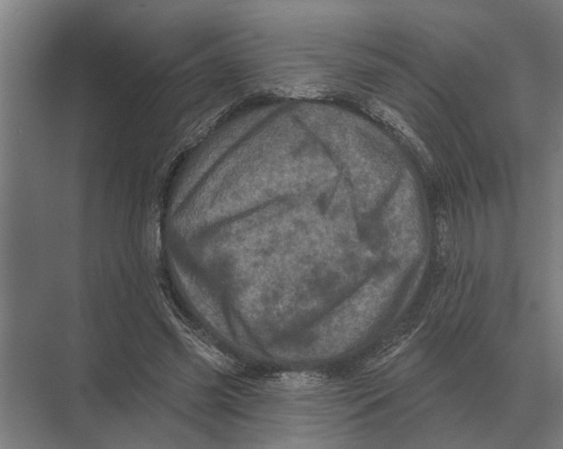 X0000074010541200609181837