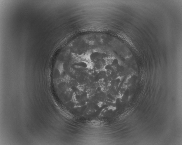 X0000074010542200609181837