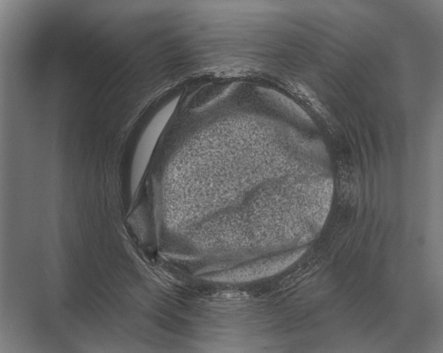 X0000074010543200609181837