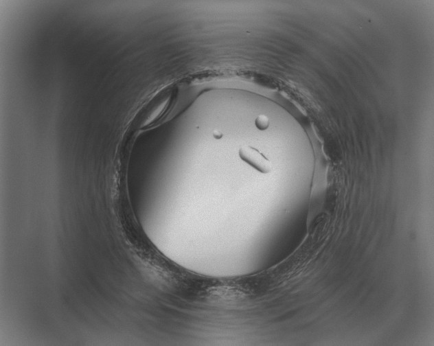 X0000074010544200609181837