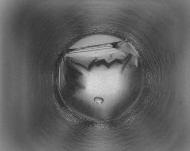 X0000074010546200609181837