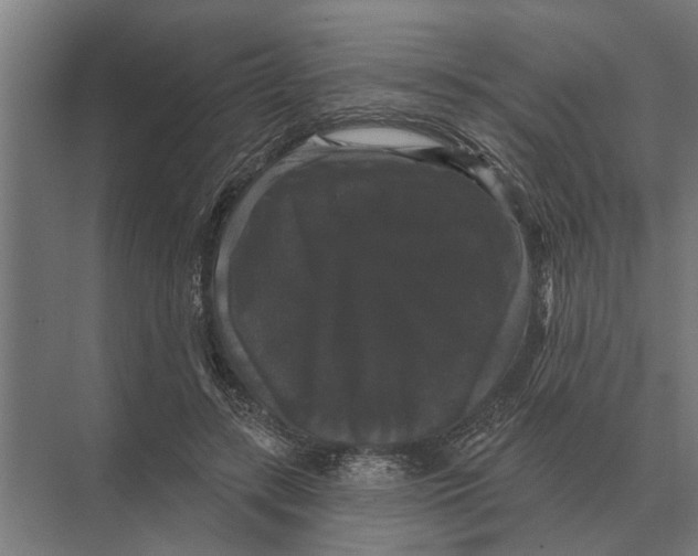 X0000074010547200609181837