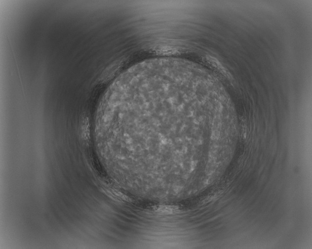 X0000074010549200609181837