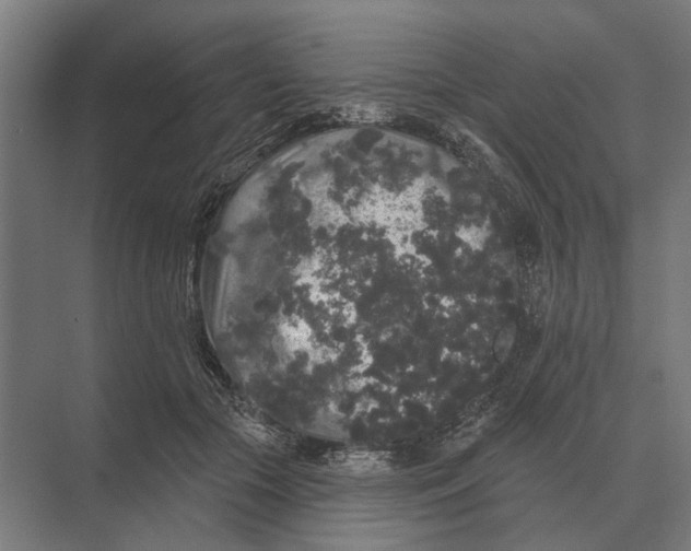 X0000074010553200609181837