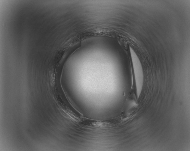 X0000074010558200609181837