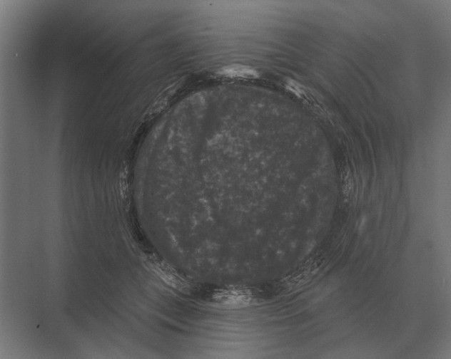 X0000074010559200609181837