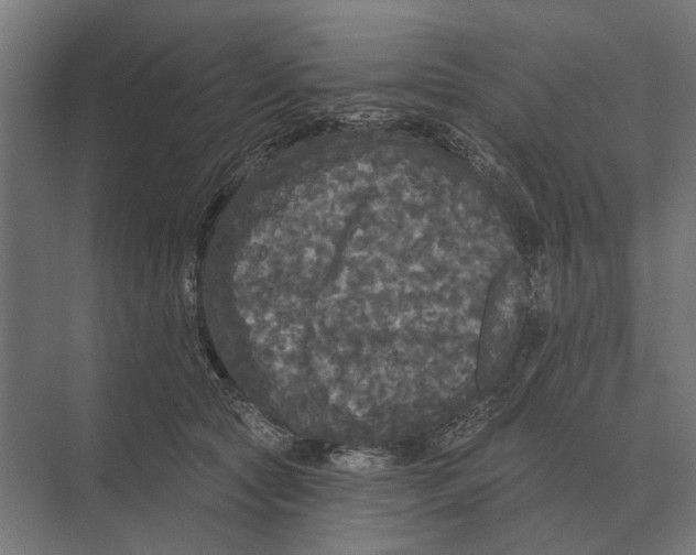 X0000074010561200609181837