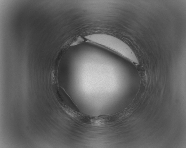 X0000074010564200609181837