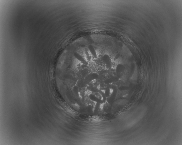 X0000074010565200609181837