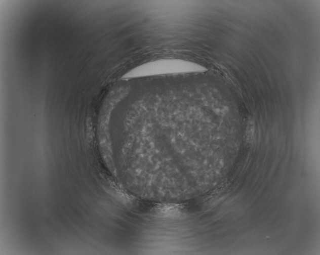 X0000074010569200609181837