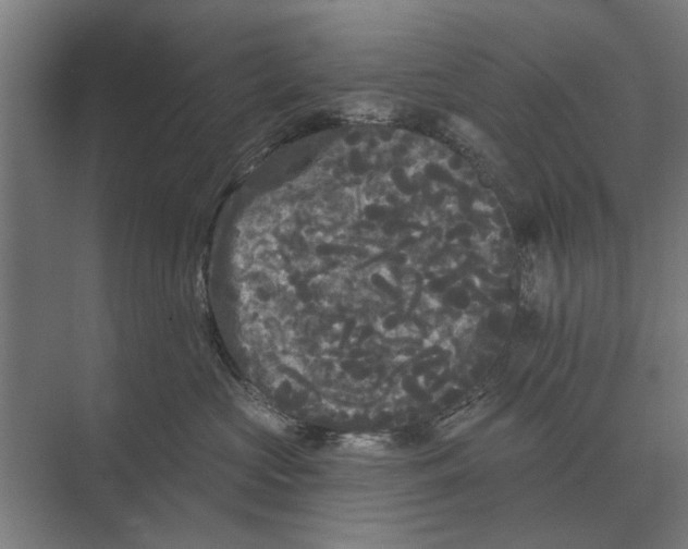 X0000074010573200609181837