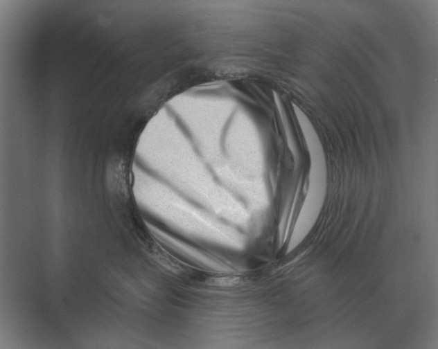 X0000074010575200609181837