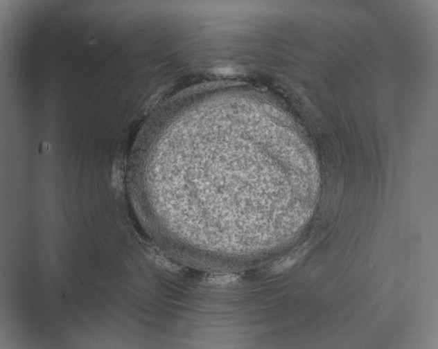 X0000074010576200609181837