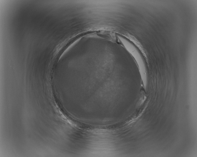 X0000074010577200609181836