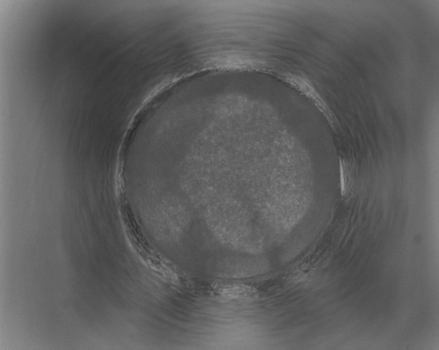 X0000074010579200609181836