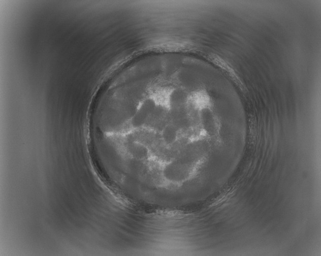 X0000074010582200609181836