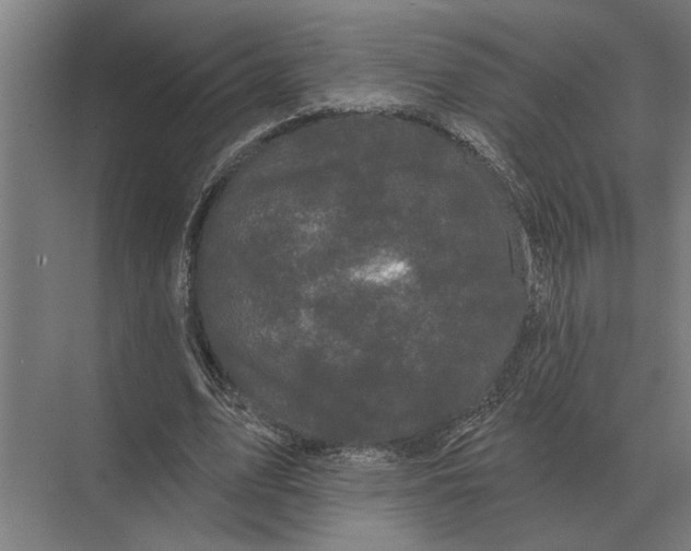 X0000074010583200609181836