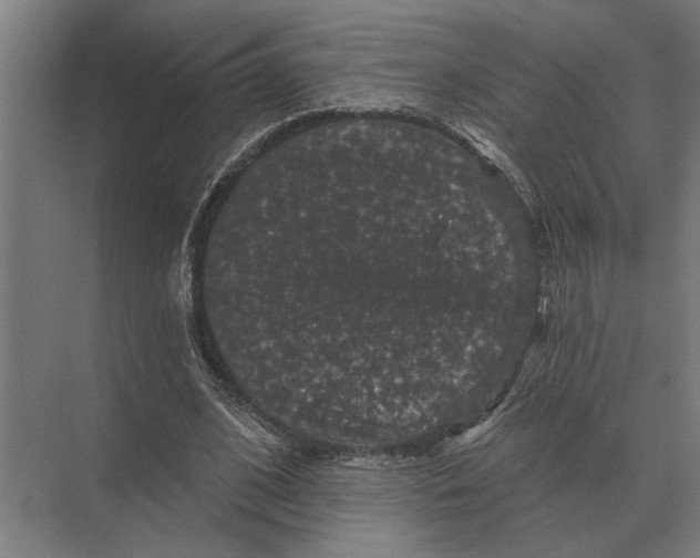 X0000074010584200609181836