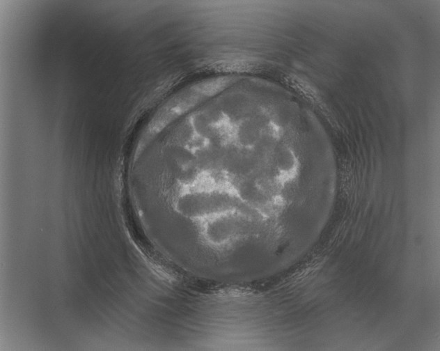 X0000074010586200609181836