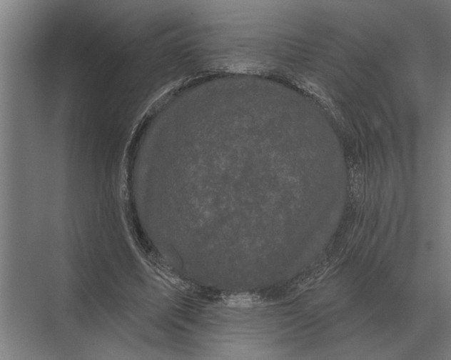 X0000074010587200609181836