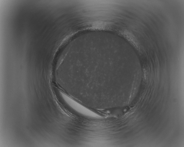 X0000074010588200609181836