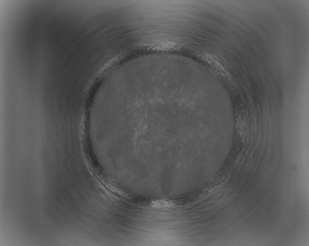 X0000074010591200609181836