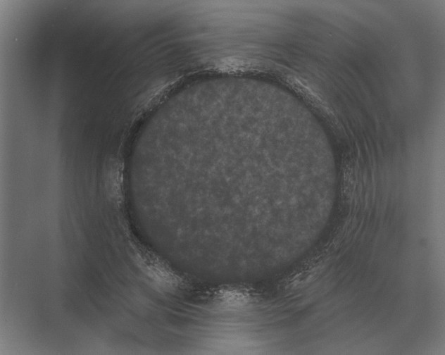 X0000074010592200609181836