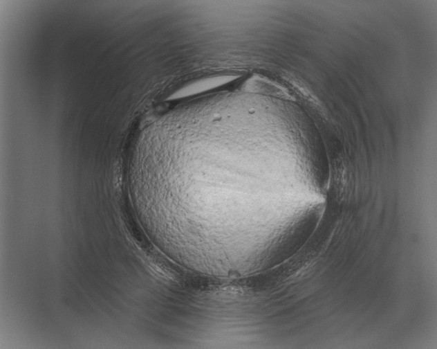 X0000074010593200609181836