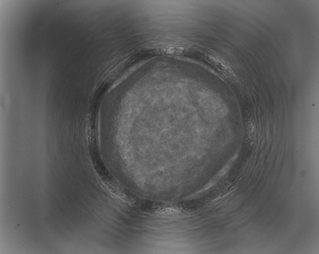 X0000074010594200609181836