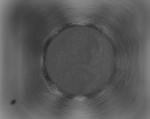 X0000074010595200609181836