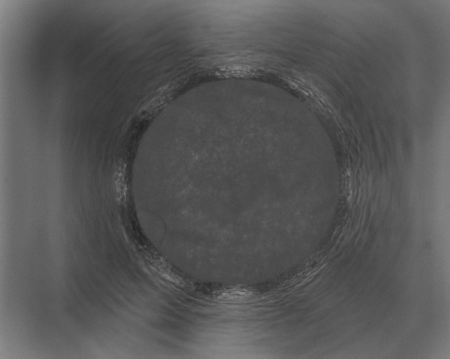 X0000074010599200609181836