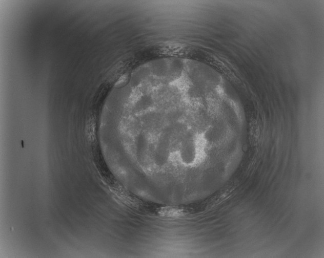 X0000074010602200609181836