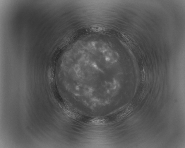 X0000074010606200609181836