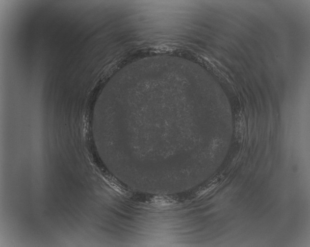 X0000074010608200609181836