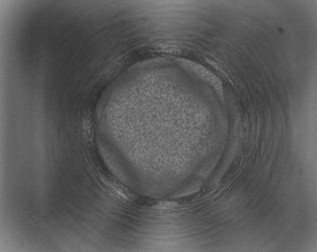 X0000074010609200609181836